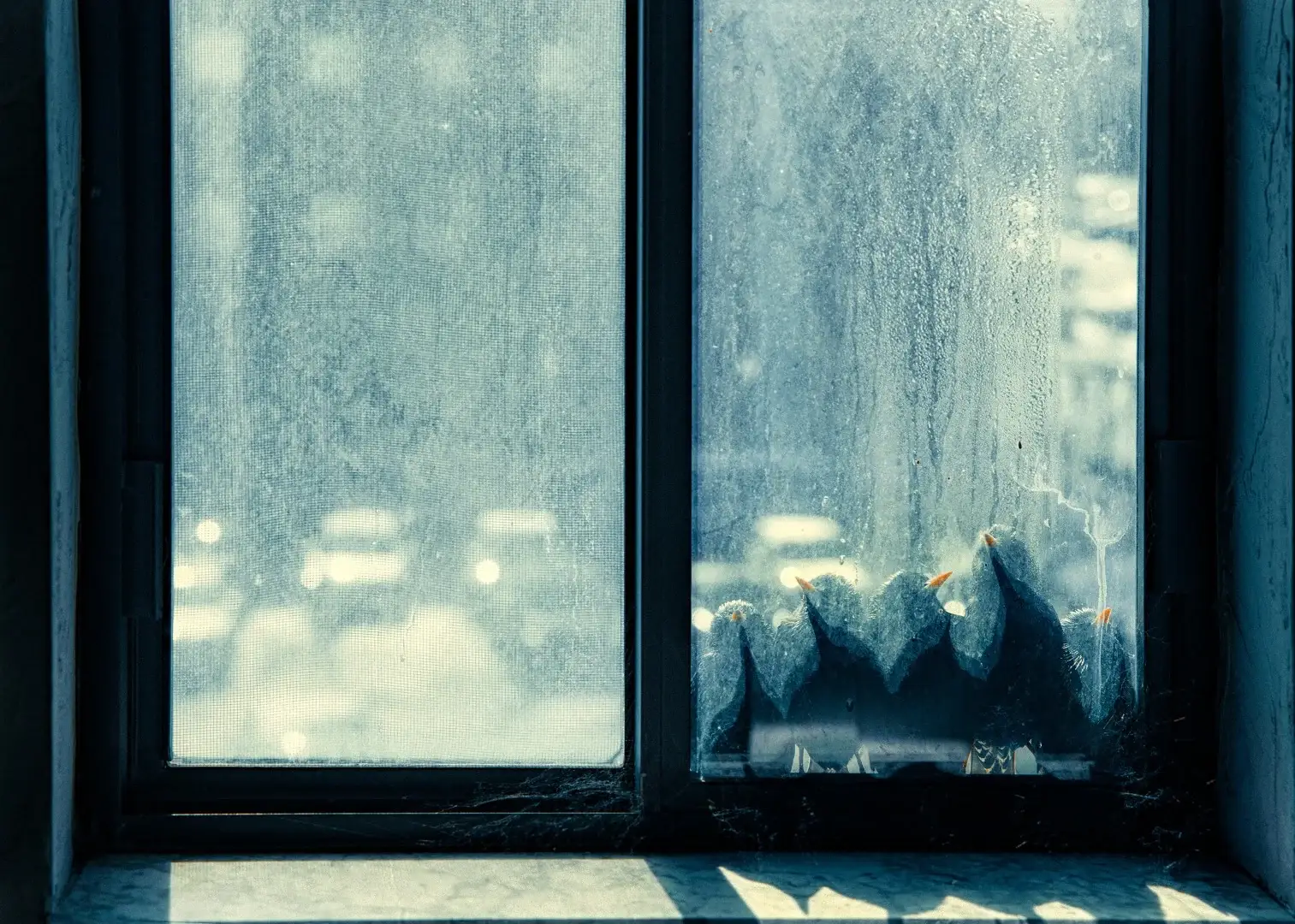Dirty window Window Cleaning Indianapolis Walden Window & Pressure Washing