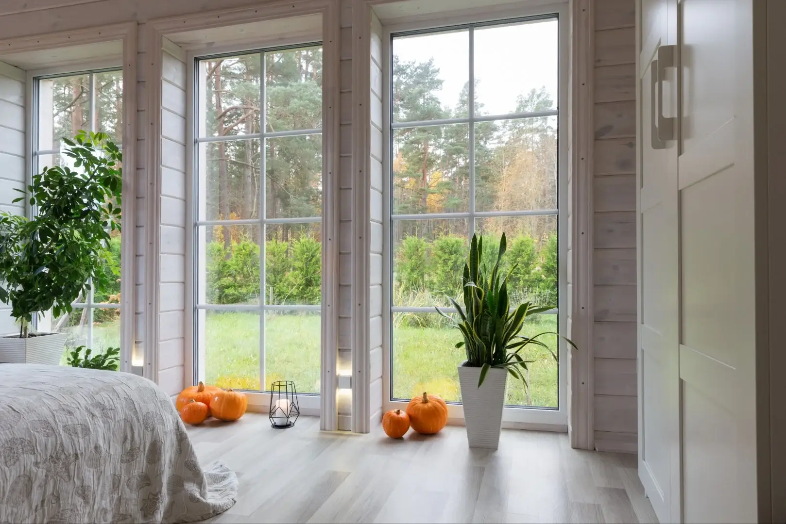Beautiful Clean Window The Hidden Health Benefits Of Clean Windows | Walden Window & Pressure ...