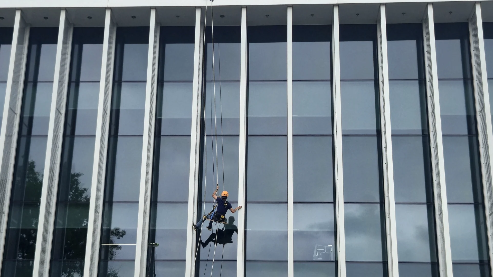 High-rise glass facade being cleaned by rope access