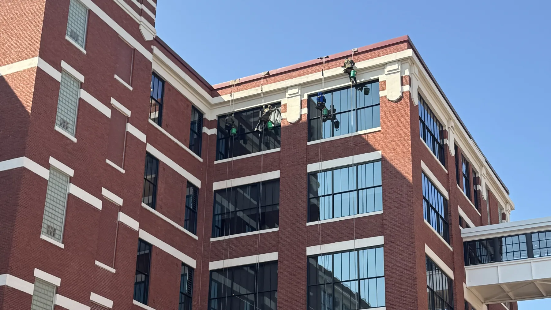 High-rise window cleaning worker rappelling down a building.